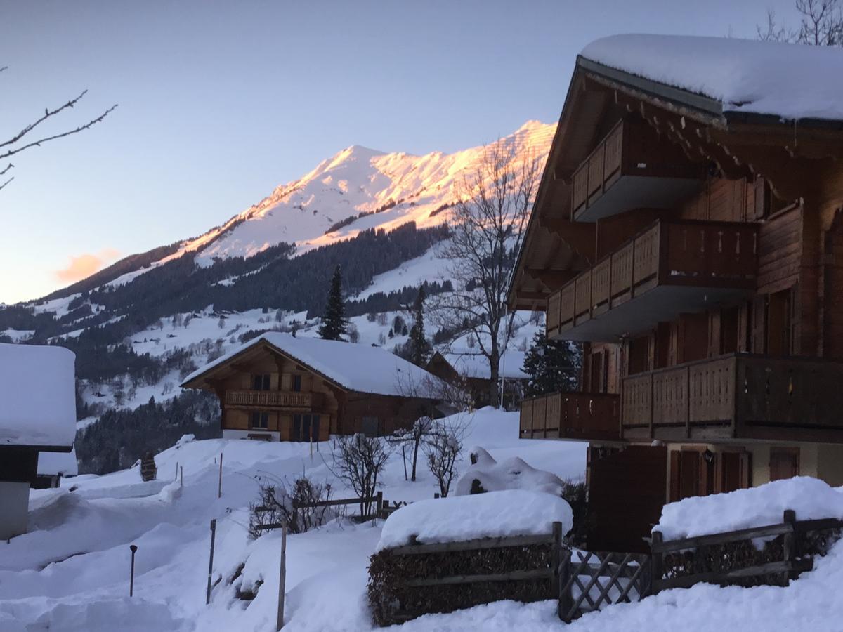 Le Sapin Apartment Les Diablerets Exterior photo